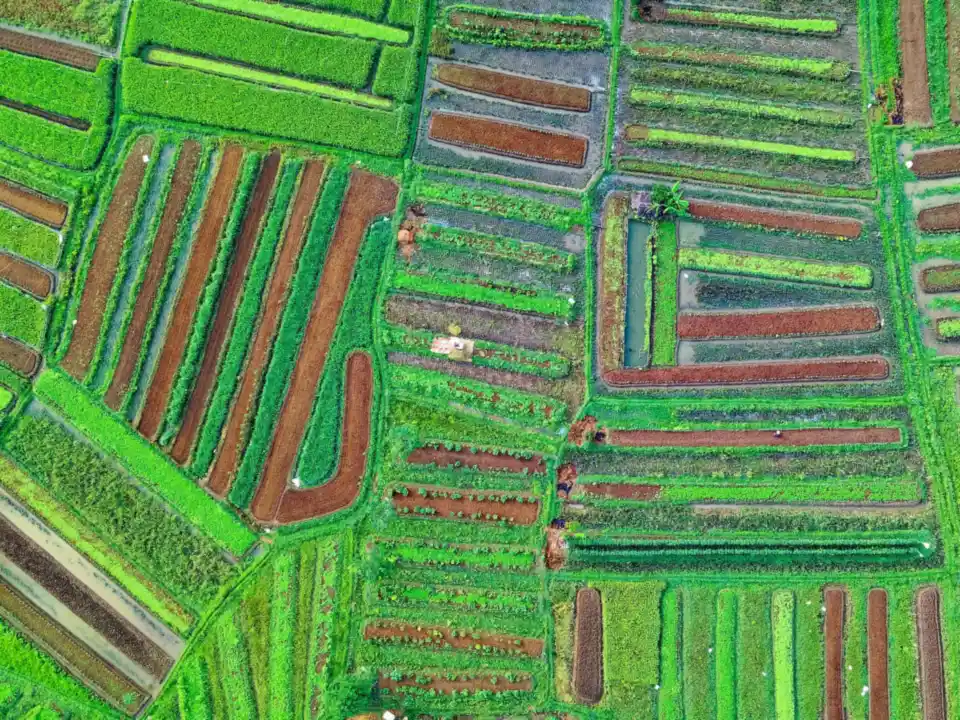 Drone aerial view over agricultural fields