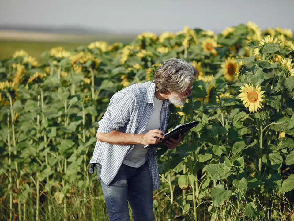 Farmers reviewing documents at a field-side meeting
