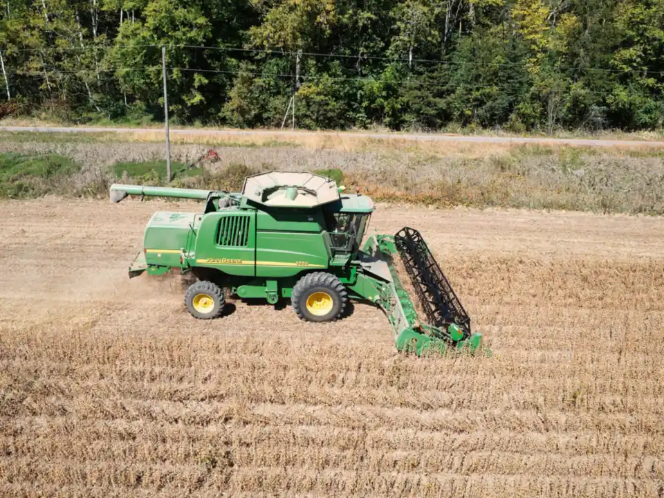 Farmers inspecting broccoli in a lush green field