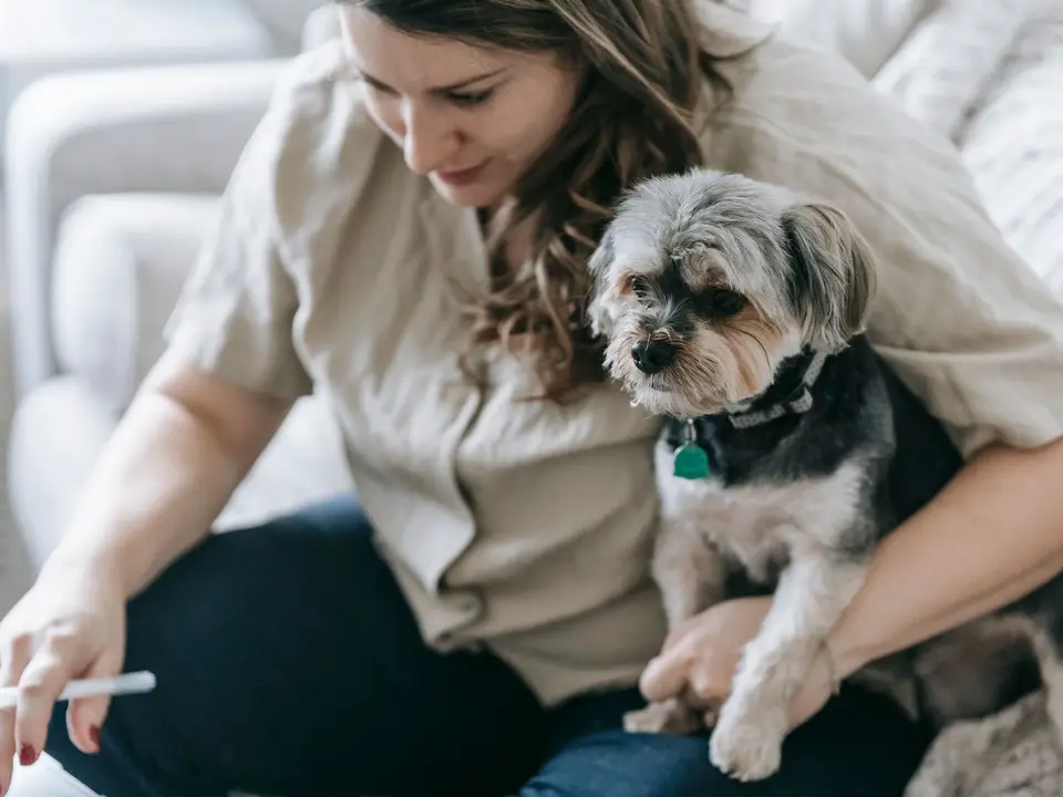 Foster volunteer cuddling a small dog at home