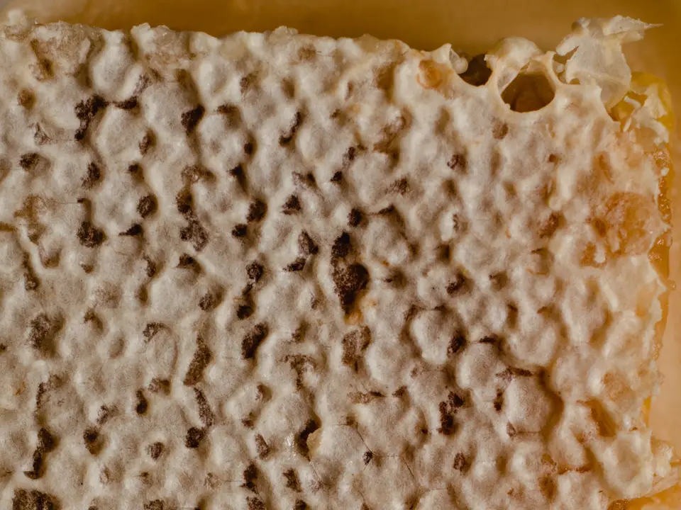 Close-up of natural beeswax honeycomb texture