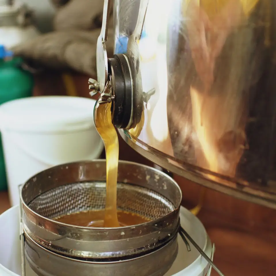 Honey extraction and processing in a stainless steel honey room