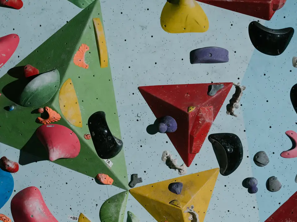 Colorful climbing holds on indoor wall
