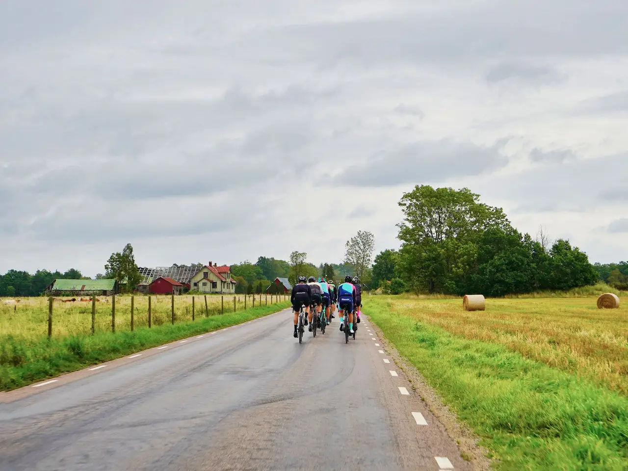 Cyclists riding on a country road