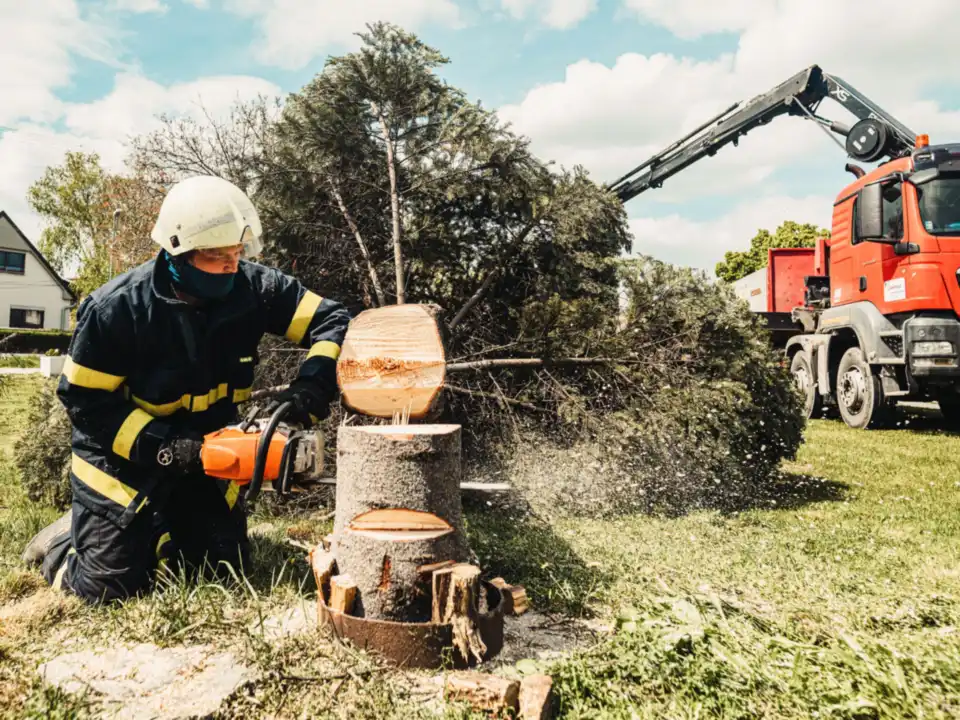 Responder cutting a fallen tree with a chainsaw