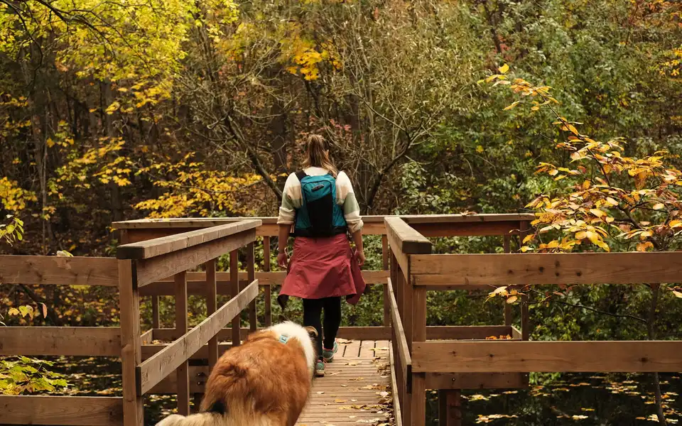 A woman hiking with her dog across an autumn forest bridge