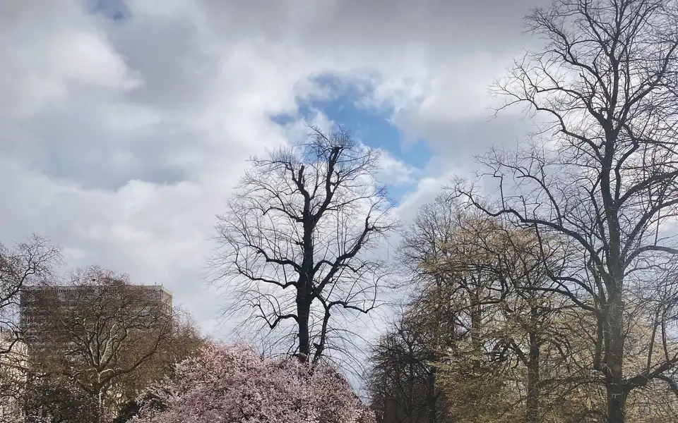 A dog owner walking a dog through a park in spring