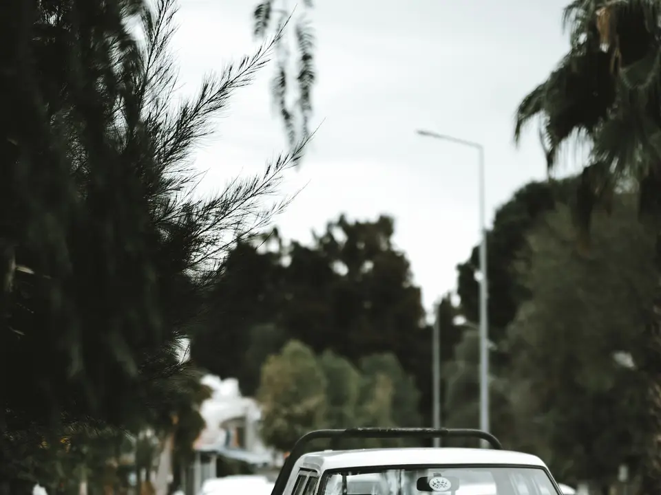 Row of parked cars along a tree-lined street