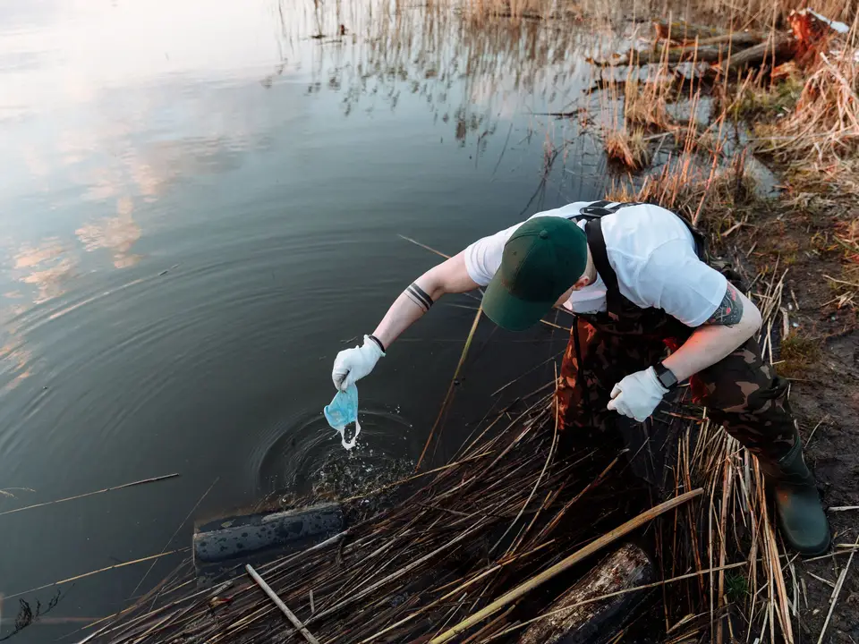 Field volunteer collecting a water sample along a reedy shore