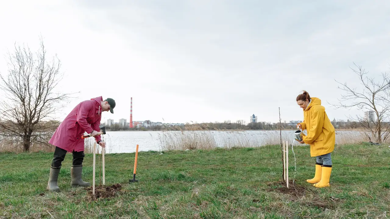 Volunteers planting young native trees near the water's edge