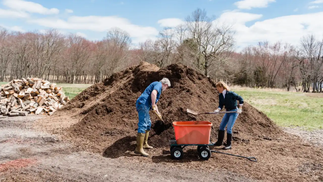 Restoration crew staging mulch and a wheelbarrow at a planting site