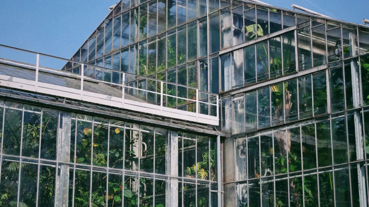 Large commercial greenhouse with glass panels reflecting sky