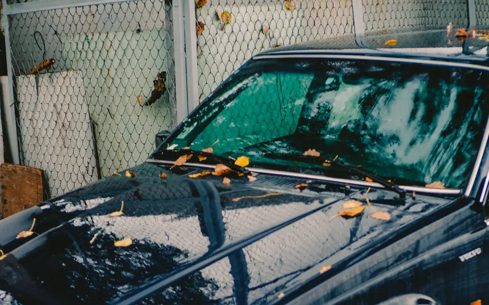 A parked car on a wet street covered in autumn leaves