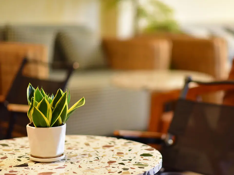 Soft indirect light in a lounge