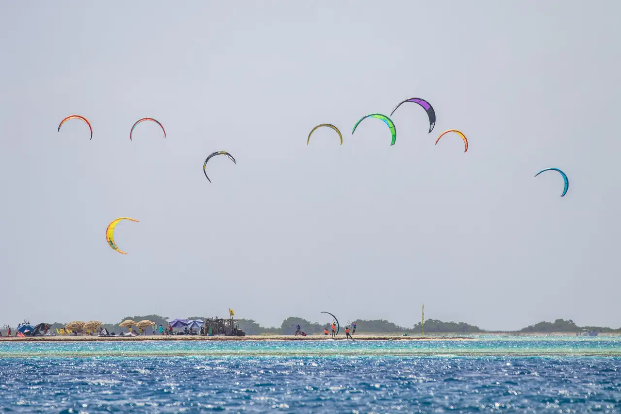 Colourful stunt kite flying over a beach under a bright blue sky