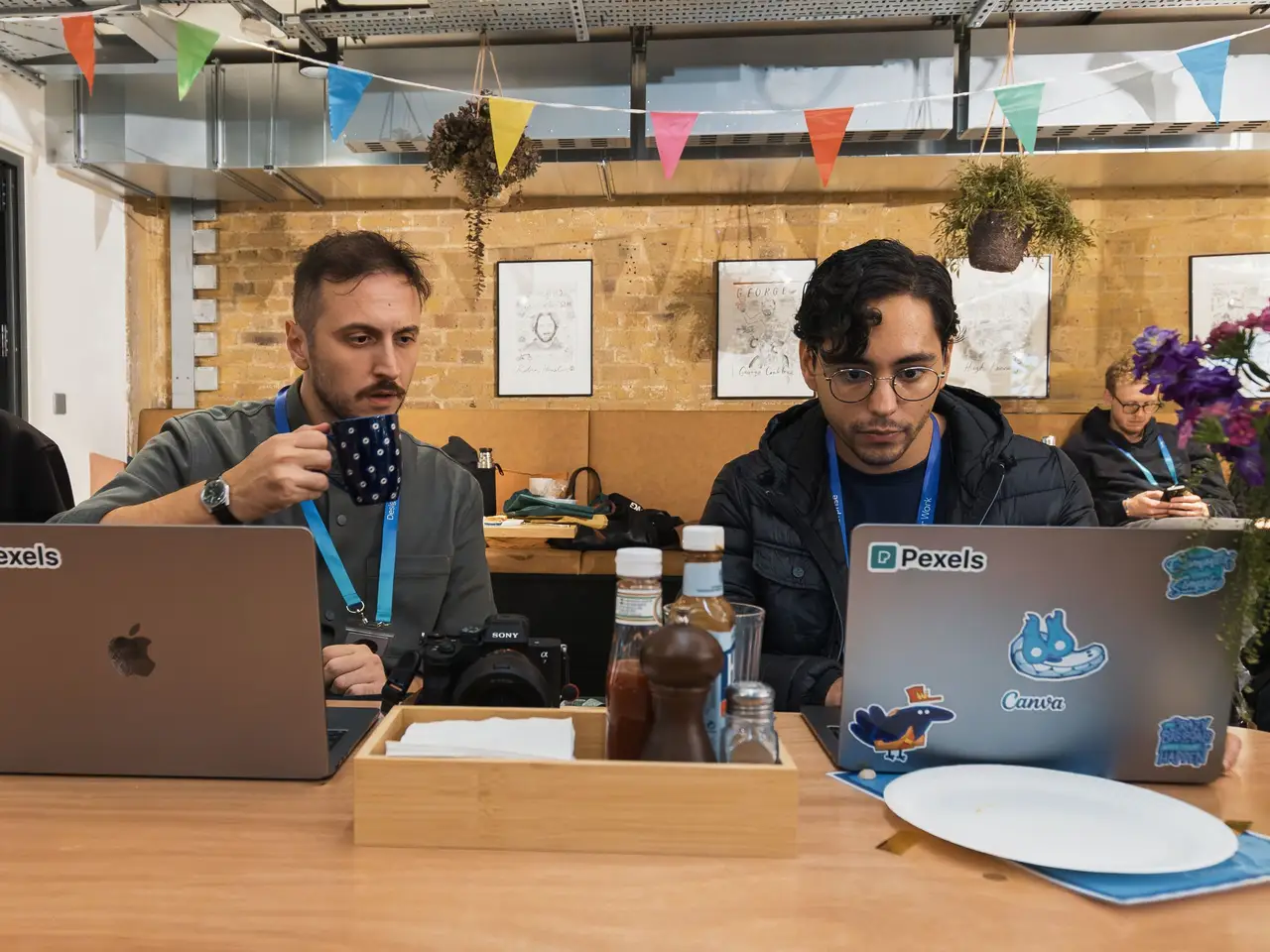 Young developers working together on laptops in a cafe