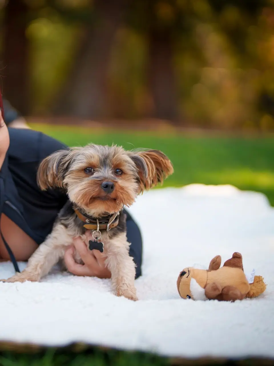 A pregnant woman sitting on a bed with her dog