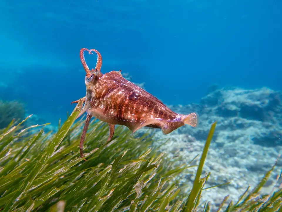 Creative workspace detail shot