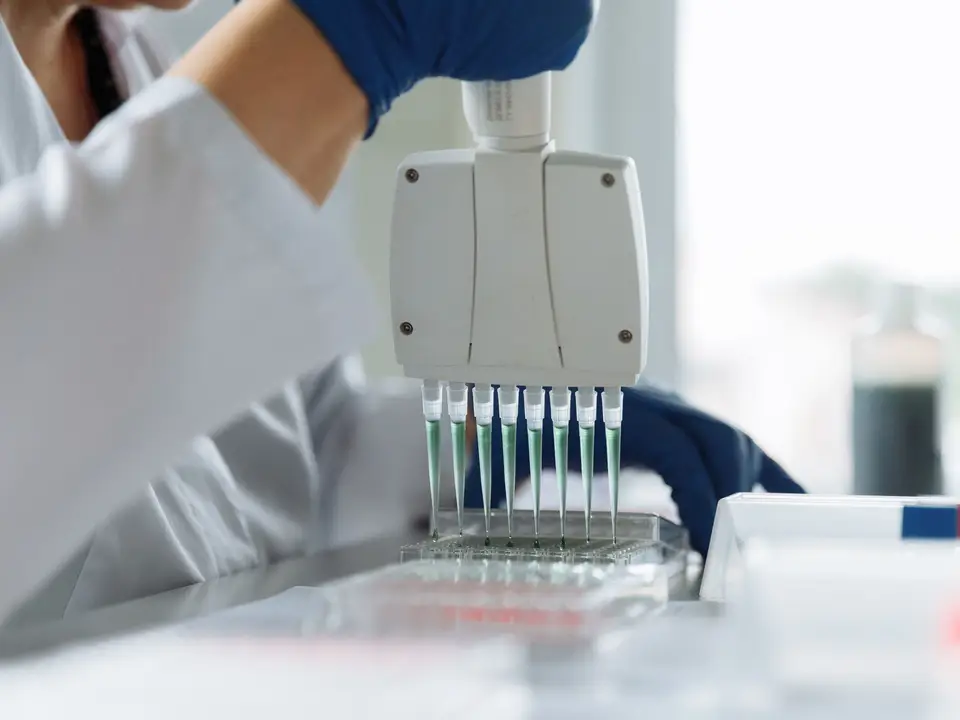 Lab timer and test tube rack on a clean bench