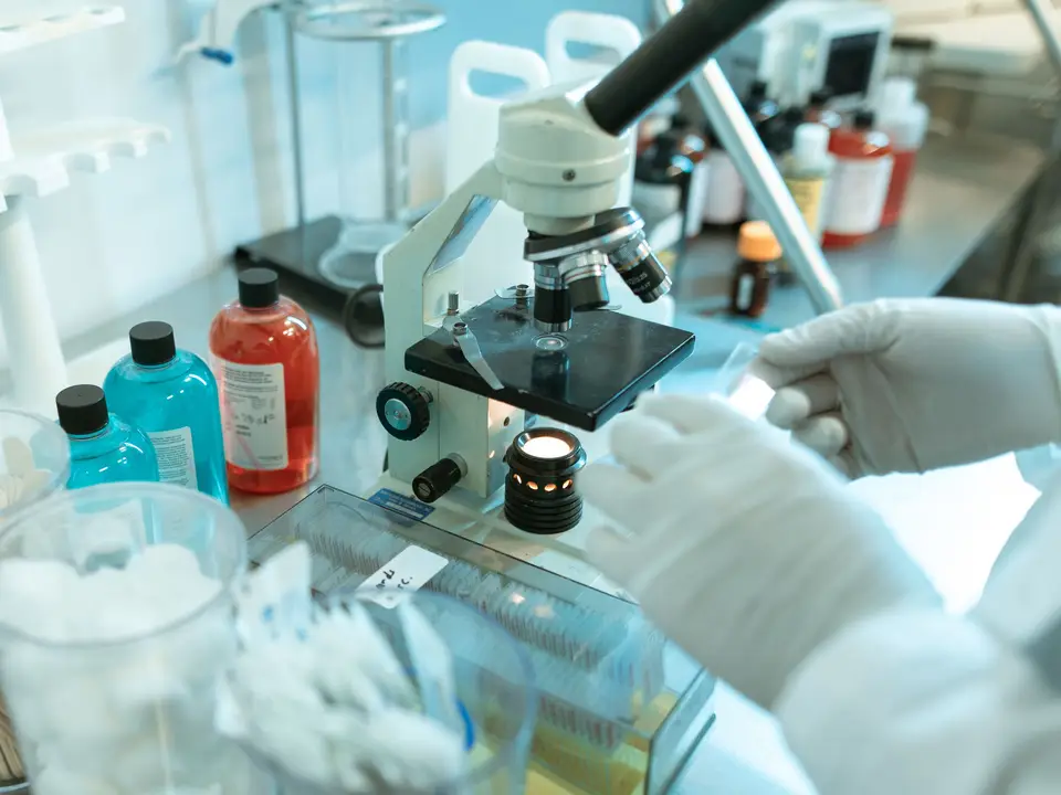 Rows of reagent bottles with labels on a laboratory shelf