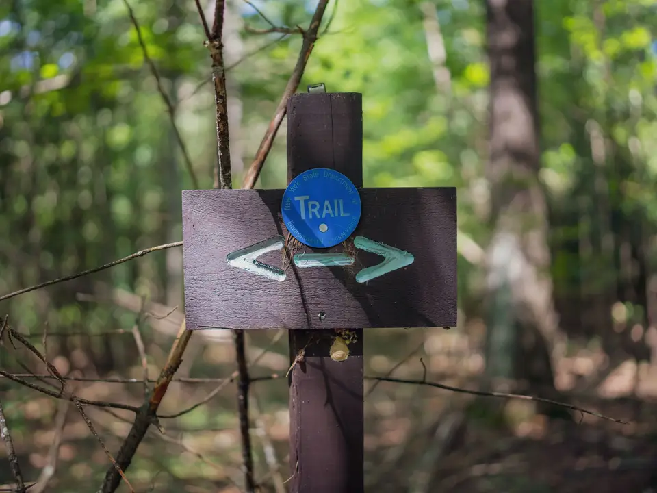 Trail marker post with direction arrows in a forest