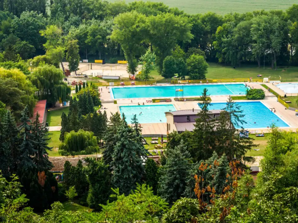 Two outdoor swimming pools surrounded by trees