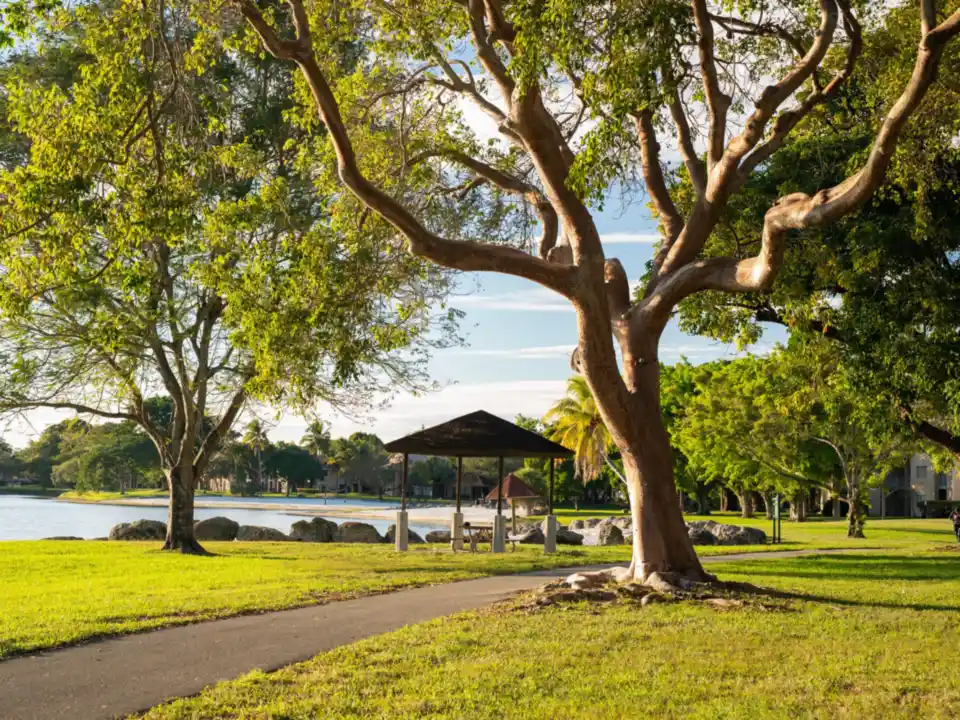 Park pavilion beside calm water under a large tree