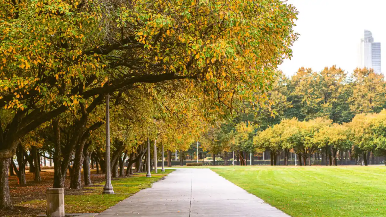 Wide park path through autumn trees beside a green lawn