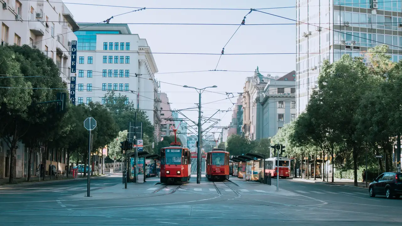 Two red trams passing at a tree-lined city junction