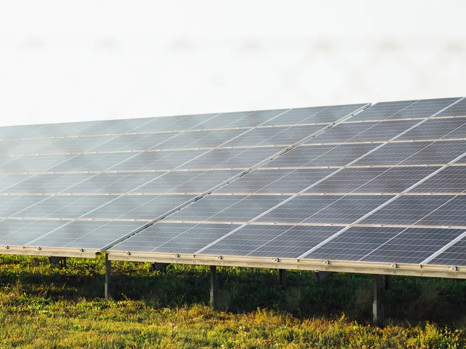 Ground-mounted solar panels across a green farm field
