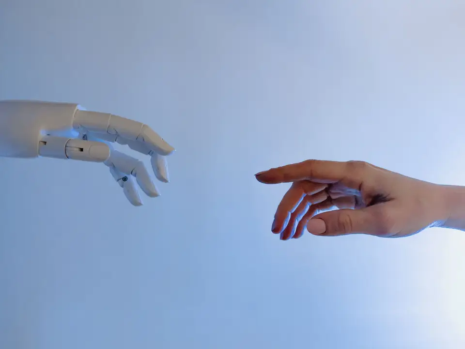 Interchangeable robot grippers laid out on a bench