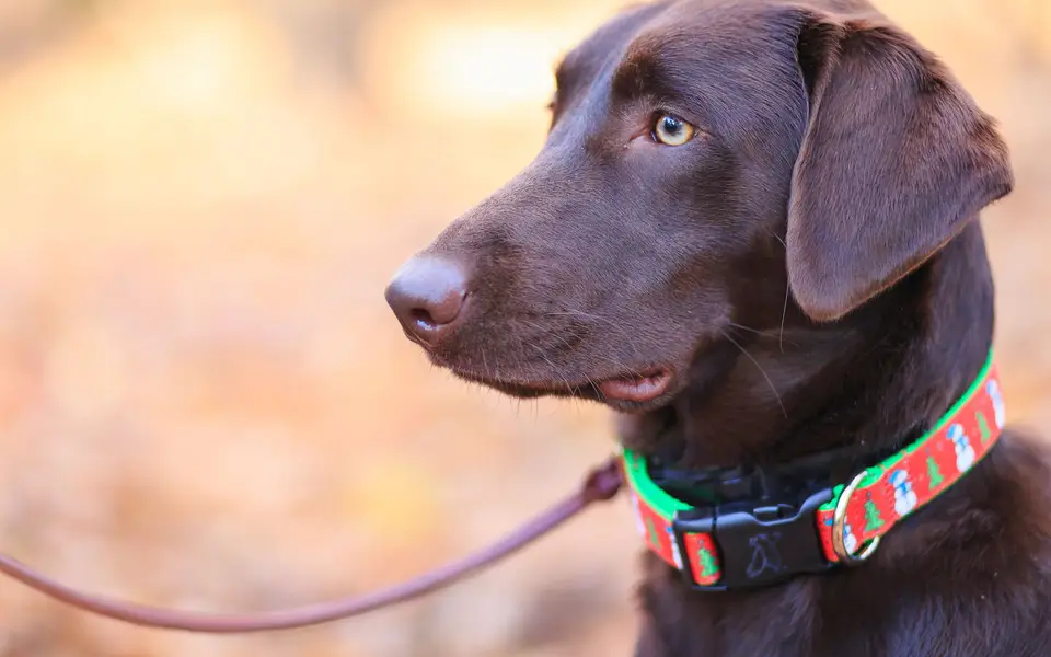Student tapping a keycard at a secure entrance