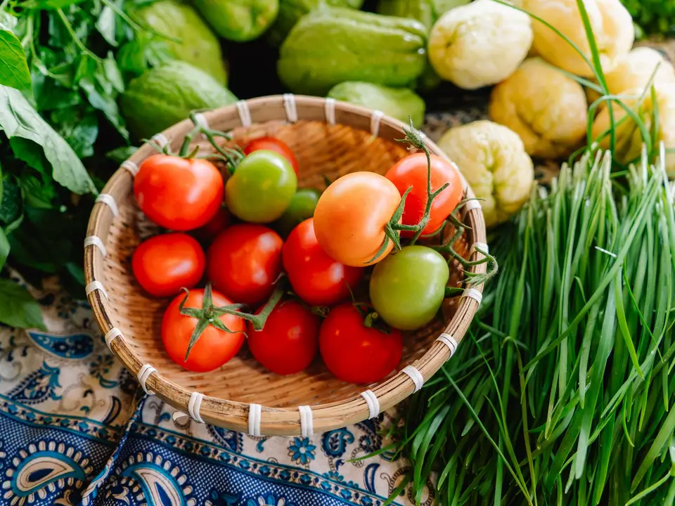Community members harvesting vegetables together