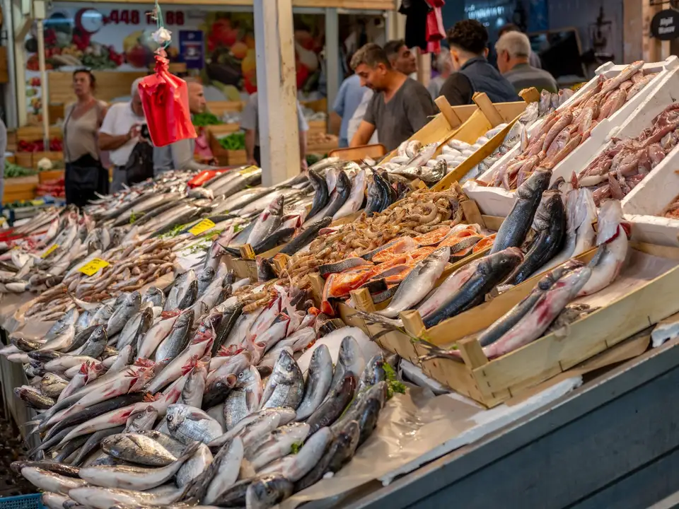 Fresh fish laid out on ice at a harbour market stall