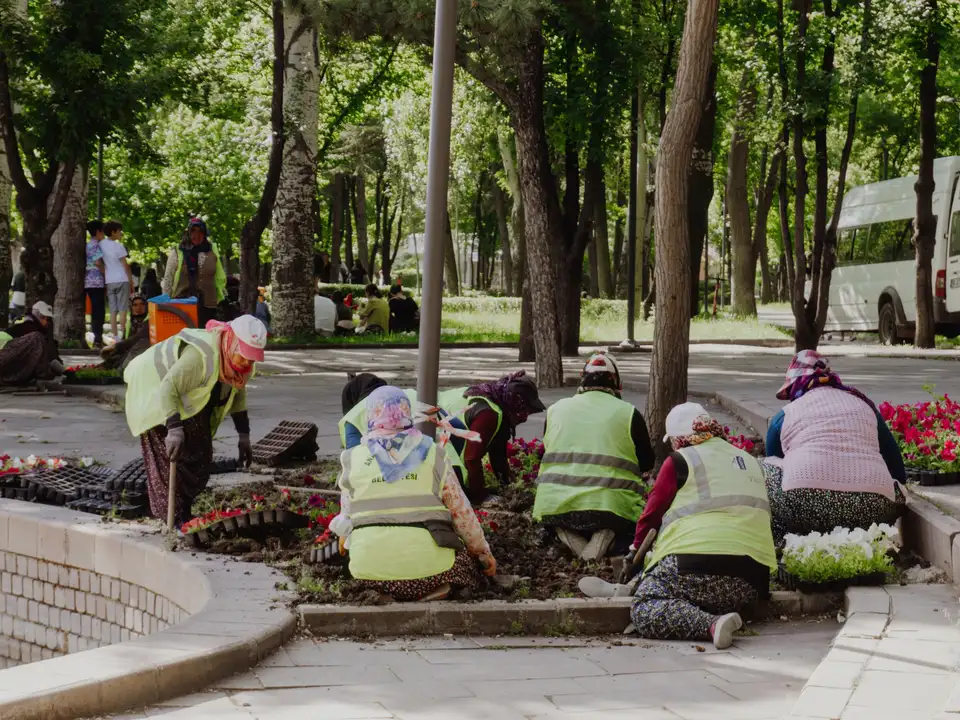 Volunteers planting flowers in a public garden bed