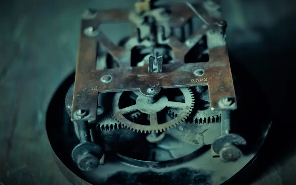 Watch case back and crown detail