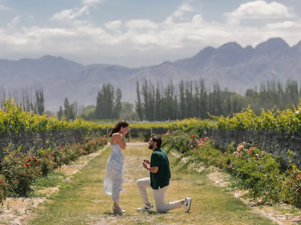 Vineyard rows in Mendoza with the Andes behind