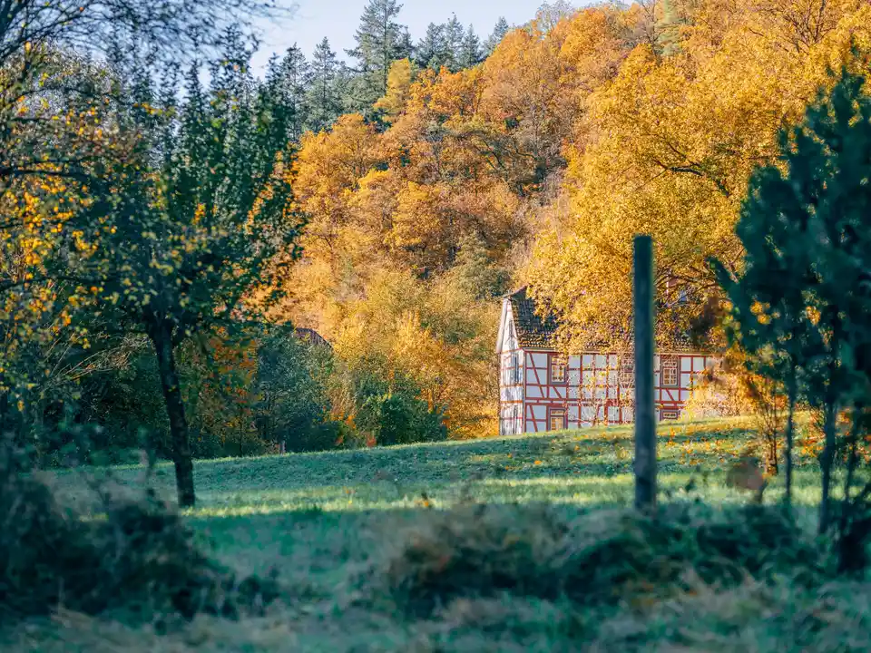 Cottage among autumn trees
