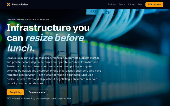 Author Website website template preview