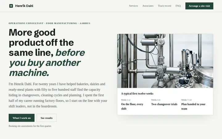 Consultant Resume website template preview