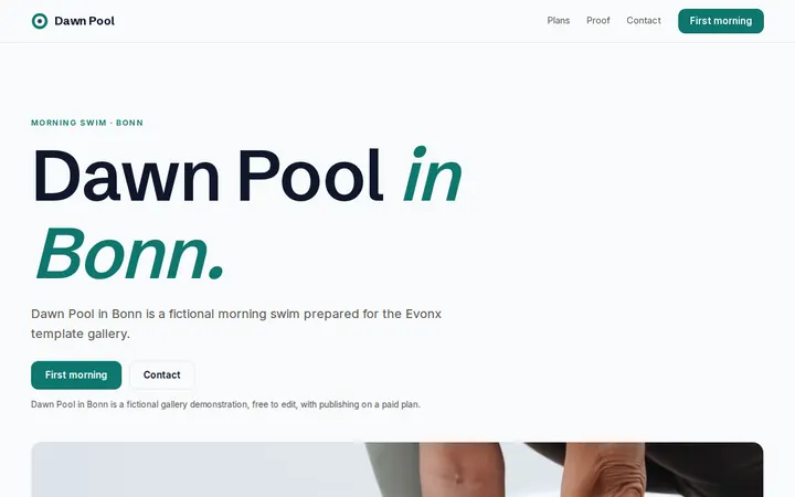 Dawn Pool website template preview