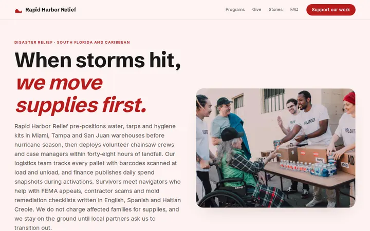 Disaster Relief Organization website template preview