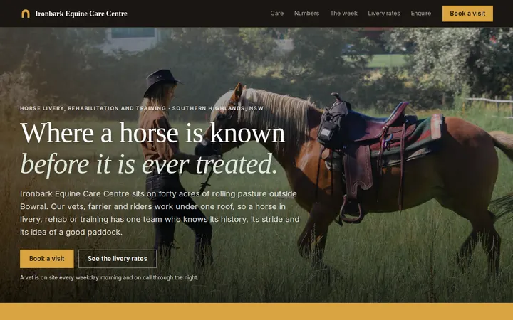 Equine Care Center website template preview