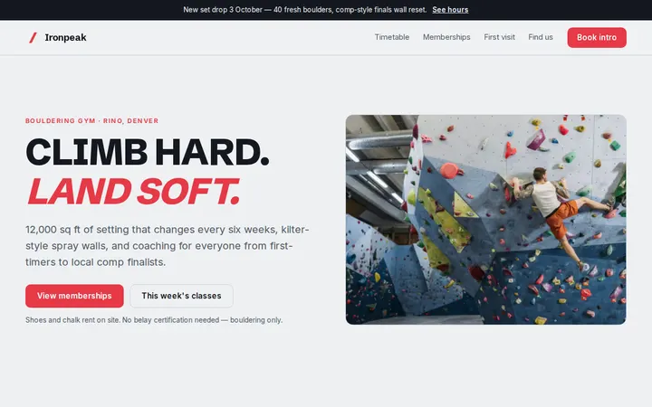 Ironpeak website template preview
