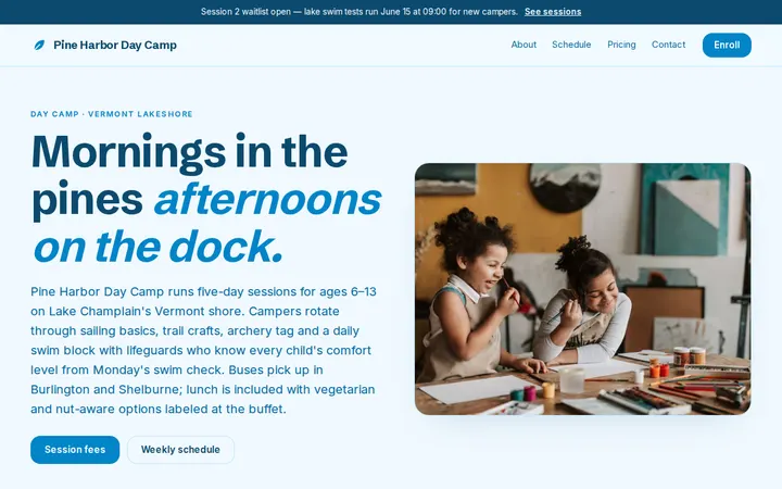 Kids Summer Camp website template preview