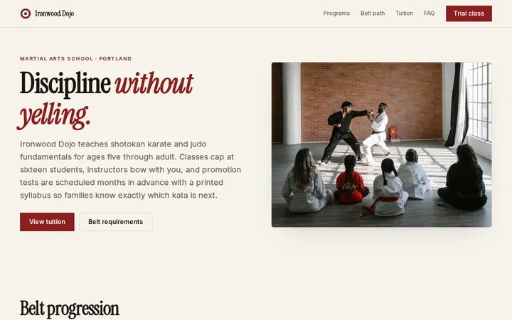 Martial Arts School website template preview