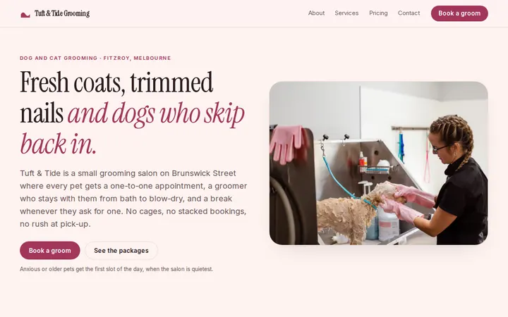 Pet Grooming Salon website template preview