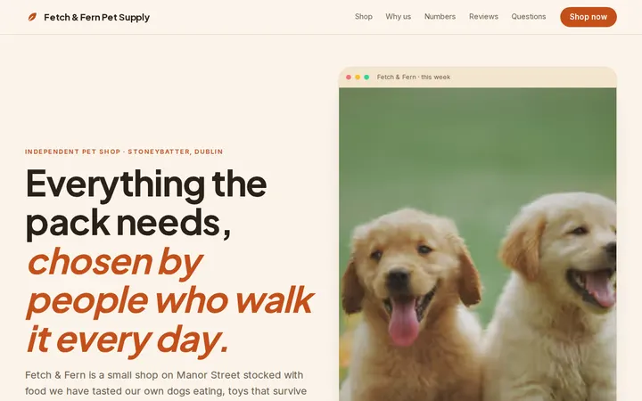 Pet Supplies Store website template preview