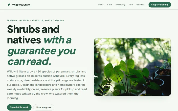 Plant Nursery website template preview