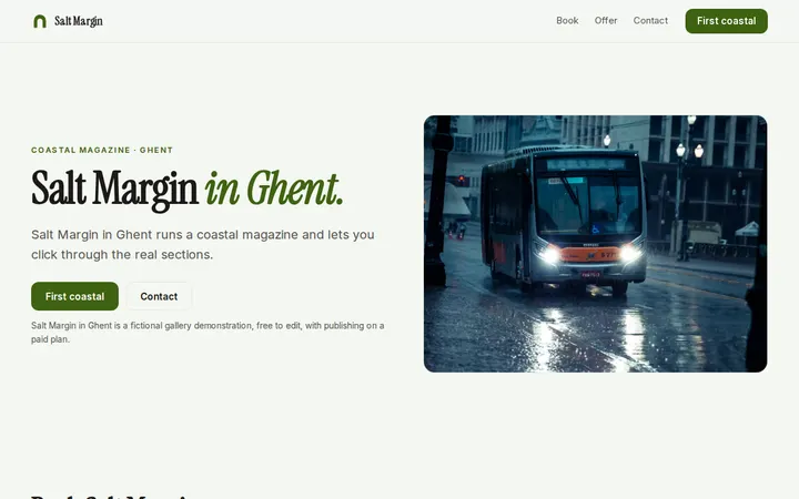 Salt Margin website template preview